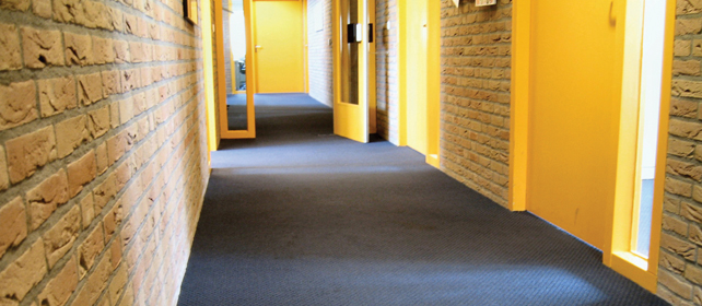 carpets